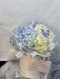 Sky Hydrangea Flower Box