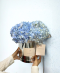 Baby Blue Hydrangea Silver FlowerBox