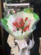 20 Mix Color Tulips