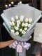 20 White Tulips