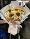 5 Sunflower with Gypsie