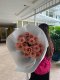 20 Cappucino Roses Bouquet  | Trending Wrapping