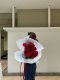 20 Red Roses Bouquet  | Trending Wrapping