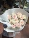 White Rosie 20 Roses Bouquet | Trending Wrapping