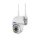 WIOT1017 Full-Color PTZ Camera 2.0 MP
