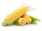 Corn Grits and Corn Flour