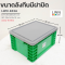 ลังทึบมีฝาปิด