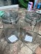 Clip-top Vacuum Glass Jar [3000 ml/3 liters]