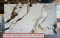 หินคริสตัล 180x300cm. หนา 18 มิล #CS1830-16