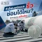 ถังไฟเบอร์กลาสรั่ว ซ่อมได้ไหม? วิธีประเมินก่อนเปลี่ยนใหม่ 