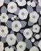 Camellia-print cotton fabric