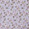 Cupcake-print cotton fabric