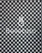 Check-print cotton fabric