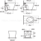 TF-3229-WT สุขภัณฑ์ แบบตั้งพื้น รุ่น ACACIA EVOLUTION (ไม่รวมฝารองนั่ง)