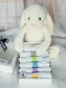 เซ็ตของขวัญผ้าออ้มเด็กแรกเกิด ของขวัญของใช้เด็กแรกเกิด RB295
