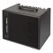 AER Amp One Electric Bass Amplifier