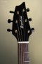 Breedlove Performer Pro Concert Thinline Aged Toner CE European-African Mahogany