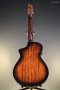 Breedlove Performer Pro Concert Aged Toner CE European-African Mahogany