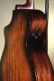Breedlove Performer Pro Concert Aged Toner CE European-African Mahogany