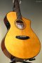 Breedlove Performer Pro Concert Thinline Aged Toner CE European-African Mahogany