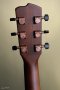 BREEDLOVE PURSUIT EXOTIC S CONCERTINA TIGER'S EYE CE