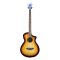 Breedlove ECO Discovery S Concert CE Acoustic-electric Bass Guitar - Edgeburst European Spruce/African Mahogany