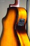 BREEDLOVE PURSUIT EXOTIC S CONCERTINA TIGER'S EYE CE