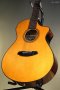Breedlove Performer Pro Concert Aged Toner CE European-African Mahogany