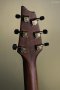 Breedlove Performer Pro Concert Thinline Aged Toner CE European-African Mahogany