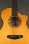 Breedlove Performer Pro Concert Aged Toner CE European-African Mahogany