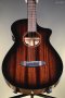 Breedlove Wildwood Pro Concertina Suede CE African Mahogany-African Mahogany