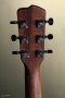 Breedlove Wildwood Pro Concertina Suede CE African Mahogany-African Mahogany