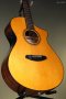 Breedlove Performer Pro Concert Aged Toner CE European-African Mahogany