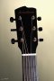 BREEDLOVE PURSUIT EXOTIC S CONCERTINA TIGER'S EYE CE