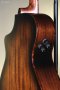 Breedlove Performer Pro Concert Thinline Aged Toner CE European-African Mahogany