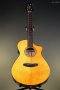 Breedlove Performer Pro Concert Thinline Aged Toner CE European-African Mahogany