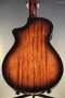 Breedlove Performer Pro Concert Aged Toner CE European-African Mahogany