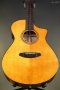 Breedlove Performer Pro Concert Thinline Aged Toner CE European-African Mahogany