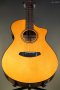 Breedlove Performer Pro Concert Aged Toner CE European-African Mahogany