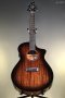 Breedlove Wildwood Pro Concert Suede CE African Mahogany-African Mahogany