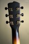 Breedlove Artista Pro Concerto Burnt Amber CE European-Myrtlewood