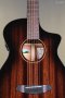 Breedlove Wildwood Pro Concertina Suede CE African Mahogany-African Mahogany