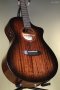 Breedlove Wildwood Pro Concert Suede CE African Mahogany-African Mahogany