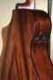 Breedlove Wildwood Pro Concertina Suede CE African Mahogany-African Mahogany