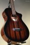 Breedlove Wildwood Pro Concertina Suede CE African Mahogany-African Mahogany