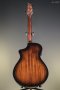 Breedlove Performer Pro Concert Thinline Aged Toner CE European-African Mahogany