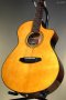 Breedlove Performer Pro Concert Thinline Aged Toner CE European-African Mahogany