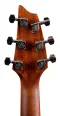 Breedlove Discovery S Concert Edgeburst CE European-African mahogany