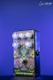 Catalinbread Dreamcoat (Preamp / Overdrive Pedal)