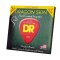 DR Strings Dragon Skin Phosphor Bronze Coated Acoustic Guitar Strings - .012-.054 Light (2-pack)